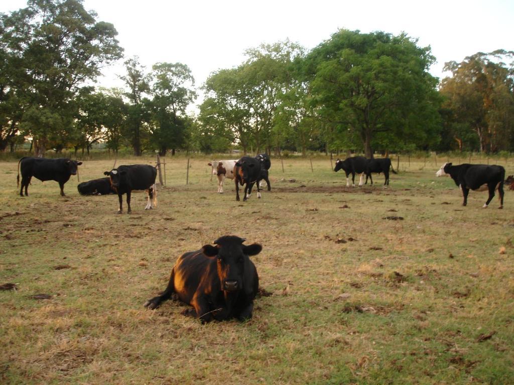 Hotel De Campo La Morena Ezeiza Εξωτερικό φωτογραφία